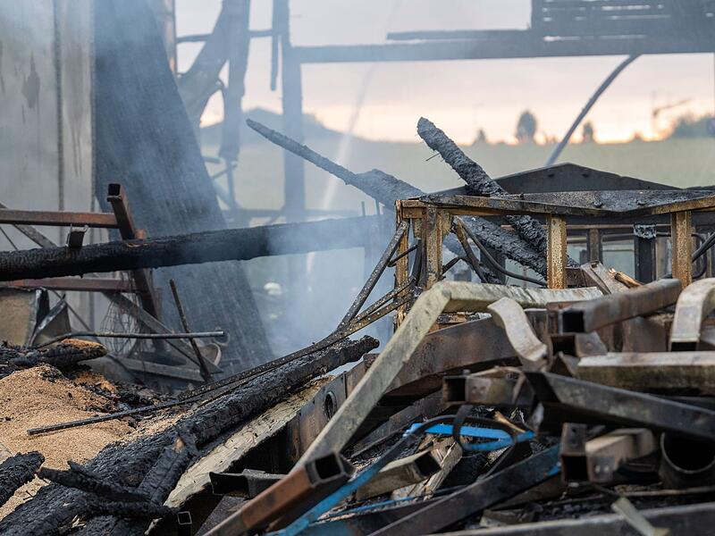 Nach Brand in Schweinezucht Nach Brand in Schweinezucht