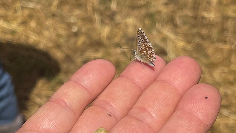 Besuch beim Naturlandbauern Bund Naturschutz