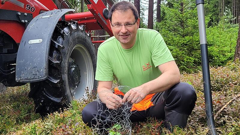 Der Politiker ist auch Waldbauer. Martin Sch&ouml;ffel wickelt hier ein Drahtgeflecht um eine kleine Eiche, um sie vor dem Rehverbiss zu sch&uuml;tzen. Im Hintergrund ist sein roter Case-Traktor zu sehen.