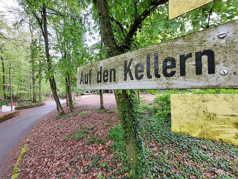 Forchheims Keller sind sanierungsbed&uuml;rftig. Ein erstes Konzept zeigt nun, wie die Stadt den Kellerwald wieder herrichten will.