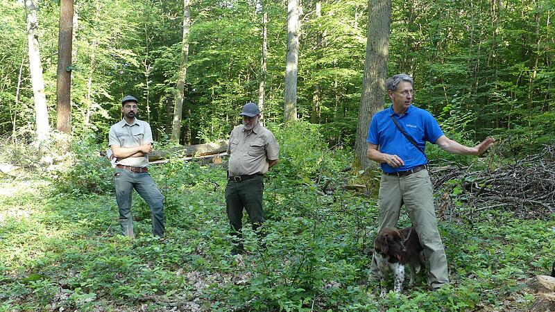 Bei der Infotour durch den heimischen Wald informierten der neue Förster Florian Seubert, Reinhold Landgraf und Forstdirektor Hubert Türich die Ratsmitglieder (von links).