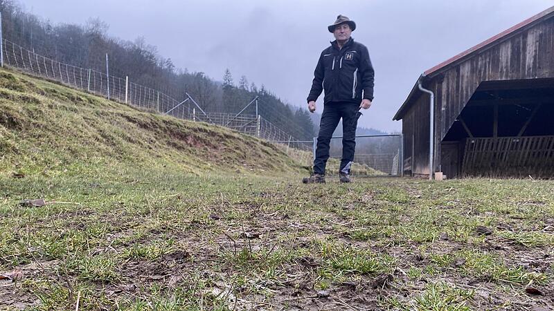 Im Damwildgehege von Norbert Hutzelmann in Gr&auml;fendorf hat mutma&szlig;lich zweimal der Wolf zugeschlagen. Im Vordergrund sieht man Haare eines der get&ouml;teten Hirschk&auml;lber.