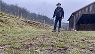 Im Damwildgehege von Norbert Hutzelmann in Gräfendorf hat mutmaßlich zweimal der Wolf zugeschlagen. Im Vordergrund sieht man Haare eines der getöteten Hirschkälber.