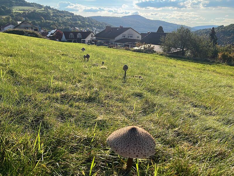 Ein Herbstbild aus Riedenberg: Blick Pilsterk&ouml;pfe/R&ouml;mershag