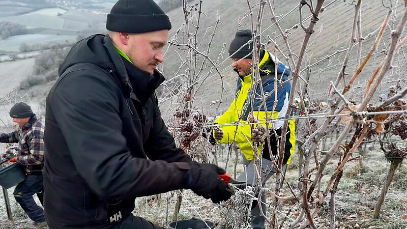 Eiswein Baldauf Ramsthal