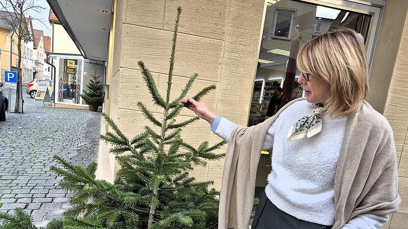 Cindy Krause musste die zerschnittene Lichterkette vom Baum herunternehmen