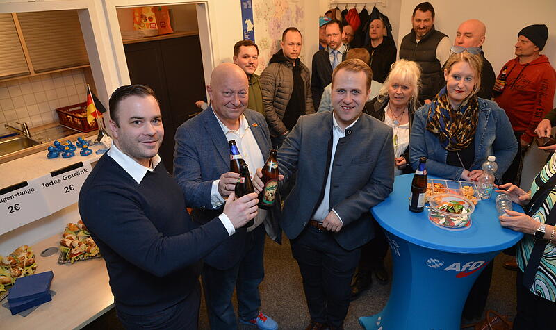 AfD Bundestagswahl 2025