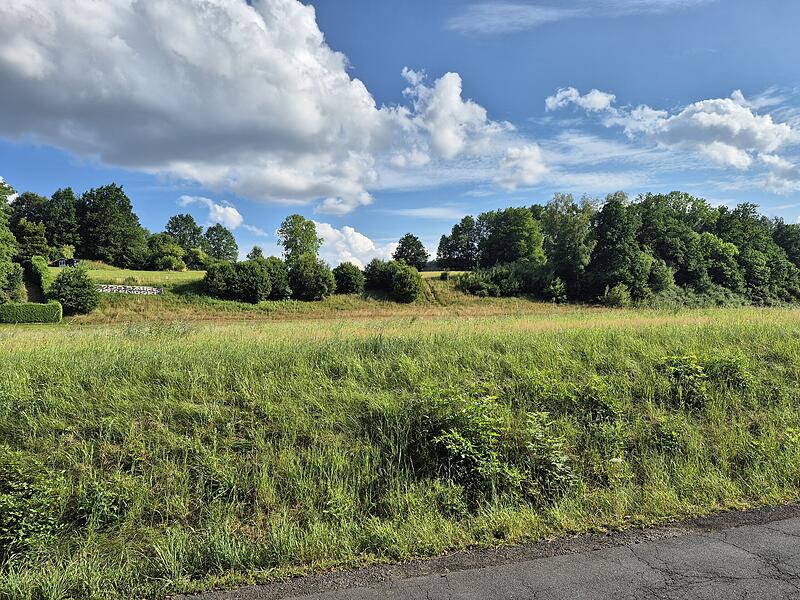 Rege Baut&auml;tigkeit statt gr&uuml;ner Wiese - Das Baugebiet "Alte Heeresstra&szlig;e" soll endlich belebt werden.