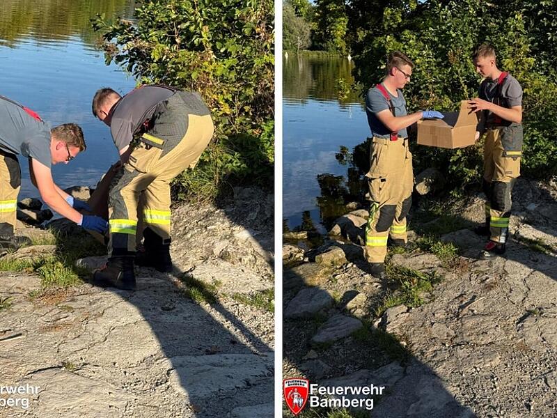 Bamberger Feuerwehr mit Rettungseinsatz - "offensichtlich verletztes Tier" Bamberger Feuerwehr mit Rettungseinsatz - "offensichtlich verletztes Tier"