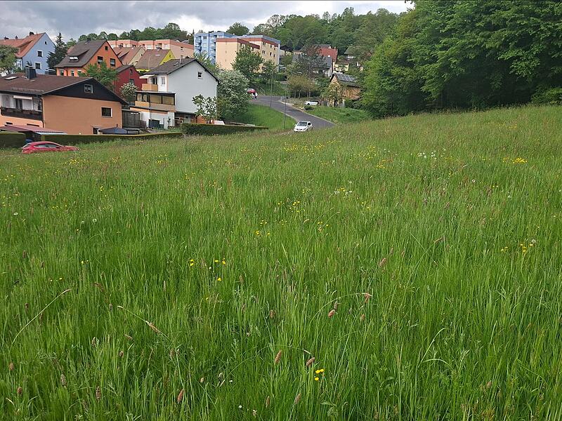 Wohnen und Gewerbe in Bad Br&uuml;ckenau: Hainischer Graben