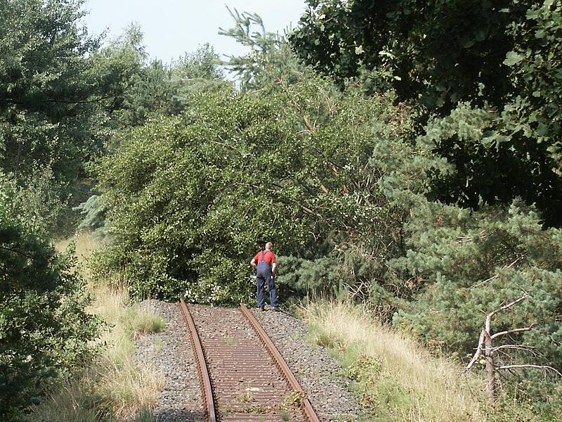 Auf der Strecke war vor der Fahrt einiges zu tun, auch ein Baum musste weggeräumt werden. Auf der Strecke war vor der Fahrt einiges zu tun, auch ein Baum musste weggeräumt werden.