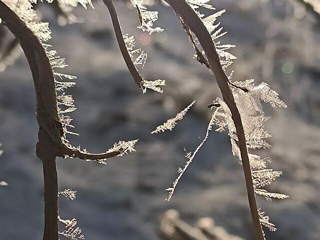 Leserfotos: So sch&ouml;n ist der Frankenwald im SchneeLeserfotos Schnee Januar 2026