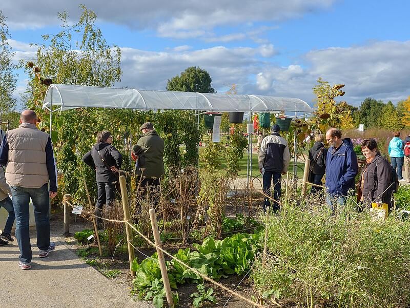 In verschiedenen Gartenparzellen erhielten Besucher Expertentipps.Landesgartenschau feiert Jubiläum Ronald Rinkleff