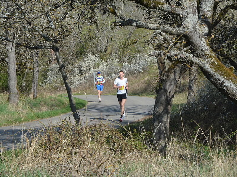Bilderstrecke vom Saaletal-Marathon in RamsthalSaaletal-Marathon in Ramsthal