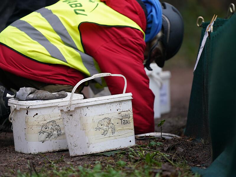 Kr&ouml;tenwanderung