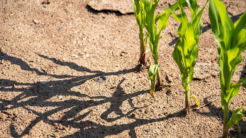 D&uuml;rre in Bayern