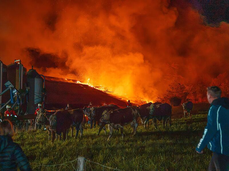 Kuhstall in Flammen in der Oberpfalz