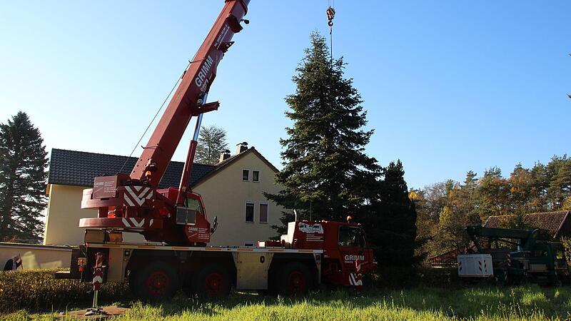 Hier hängt die 16 Meter hohe Tanne bereits am Haken – doch zum Transport nach Coburg kam es nicht. Hier hängt die 16 Meter hohe Tanne bereits am Haken – doch zum Transport nach Coburg kam es nicht.