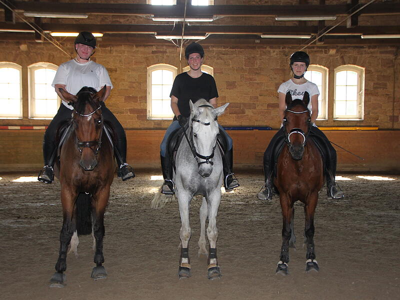 Probe Quadrille