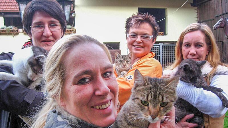 Britta Merkel (im Vordergrund)  engagiert sich f&uuml;r die Kastration frei lebender Katzen, um deren ungehinderte Vermehrung einzud&auml;mmen.