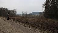 Blick auf Felder und Wälder oberhalb der bestehenden Deponie. Sie könnten dem Tonabbau zum Opfer fallen.