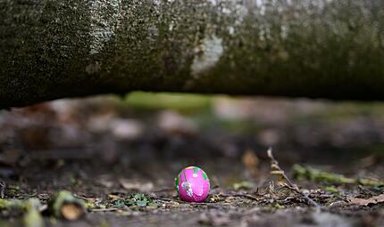 Baum umgest&uuml;rzt - Drei Tote bei Flensburg