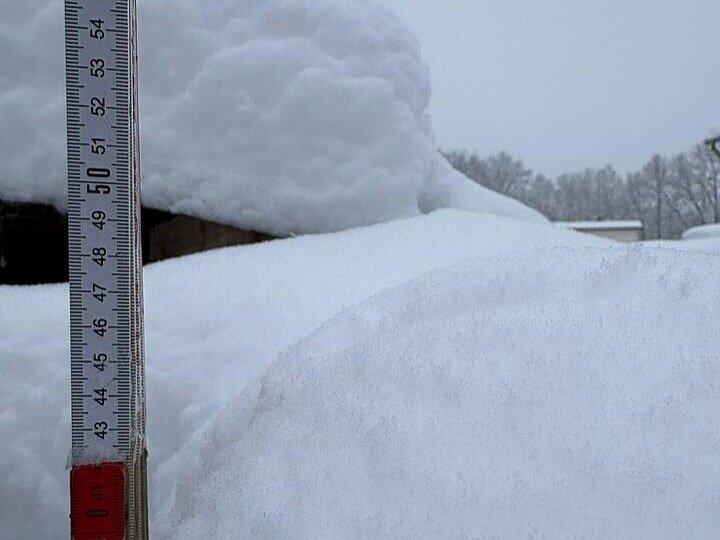 Schnee in Kulmbach: Die sch&ouml;nsten Leserfotos