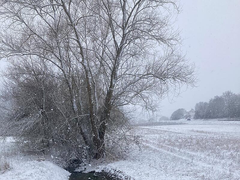 Der Winter: Sch&ouml;n zu sehen am Sulzler B&auml;chle, Richtung Siebenberg und Ramsthal.