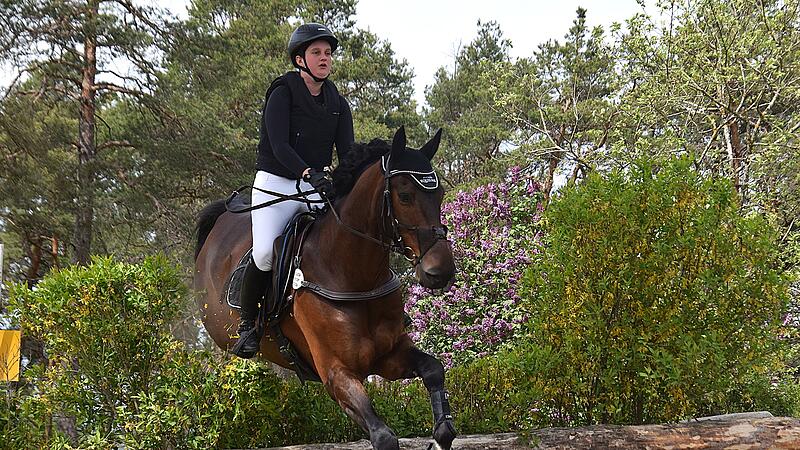 Fr&uuml;hjahrs-Turnier des RFV Sulzthal