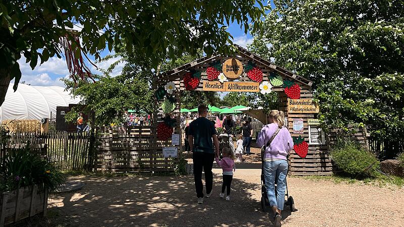 Das Erdbeerfest auf dem Huckepack-Selbsterntefeld in Erlangen ist Magnet für große und kleine Besucher. Das Erdbeerfest auf dem Huckepack-Selbsterntefeld in Erlangen ist Magnet für große und kleine Besucher.