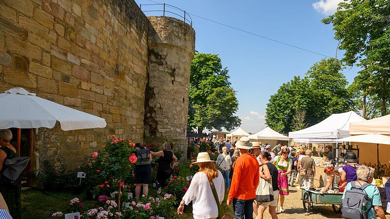 Die Königsberger Rosentage laden auch heuer wieder zum blühenden Erlebnis rund um die Burg ein. Die Königsberger Rosentage laden auch heuer wieder zum blühenden Erlebnis rund um die Burg ein.