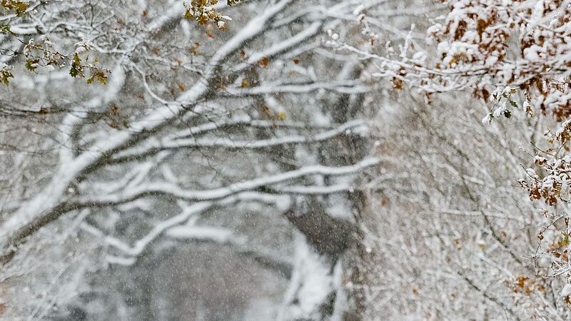 Zwei Jogger bei Schnee