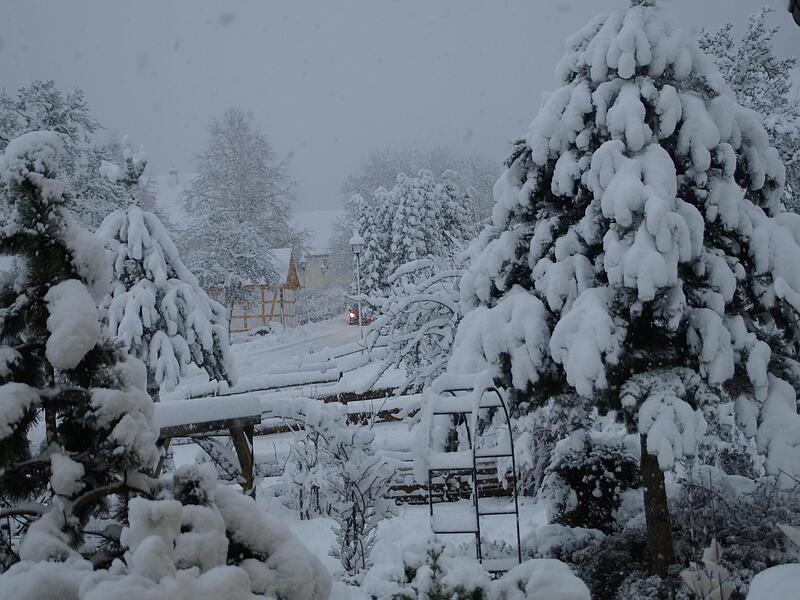 Winter Wunderland in SeidmarForchheim & Fr&auml;nkische Schweiz