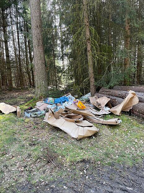 Müll illegal entsorgt im Wald bei Modlos