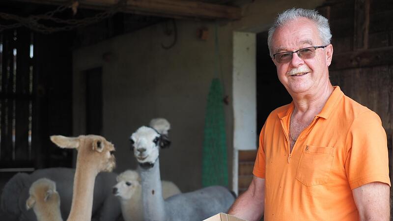 Klaus Fenzlein hat f&uuml;nf Alpakas. Der Kot der Tiere wird auch als &bdquo;Alpakagold&ldquo; bezeichnet. Er verschenkt ihn als D&uuml;nger.