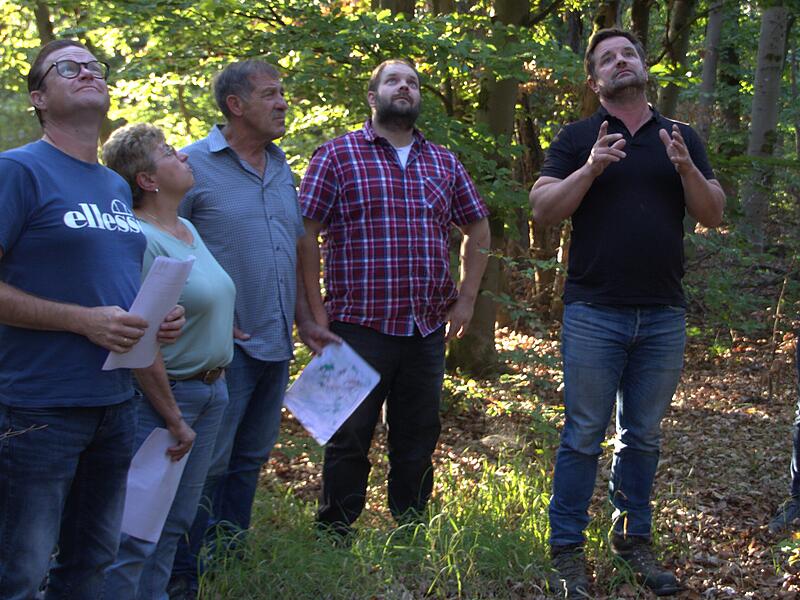Bei einer Waldbegehung hat Matthias Wallrapp (rechts) den Mitgliedern des Bauausschusses viel Spannendes über den Stadtwald in Hammelburg zu berichten. Bei einer Waldbegehung hat Matthias Wallrapp (rechts) den Mitgliedern des Bauausschusses viel Spannendes über den Stadtwald in Hammelburg zu berichten.