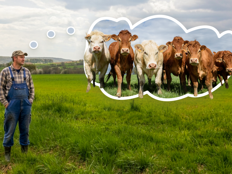 Auf einer Wiese nahe dem Gr&uuml;ngutplatz zwischen Frankenbrunn, Thulba und Reith m&ouml;chte ein Landwirt einen Bio-Bullenmaststall errichten.