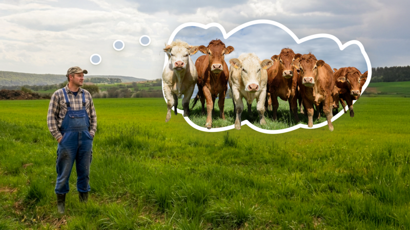 Auf einer Wiese nahe dem Gr&uuml;ngutplatz zwischen Frankenbrunn, Thulba und Reith m&ouml;chte ein Landwirt einen Bio-Bullenmaststall errichten.