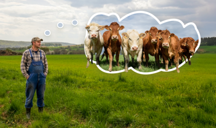 Auf einer Wiese nahe dem Gr&uuml;ngutplatz zwischen Frankenbrunn, Thulba und Reith m&ouml;chte ein Landwirt einen Bio-Bullenmaststall errichten.