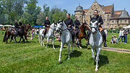 Gartenfest Schloss Eyrichshof Gartenfest Schloss Eyrichshof