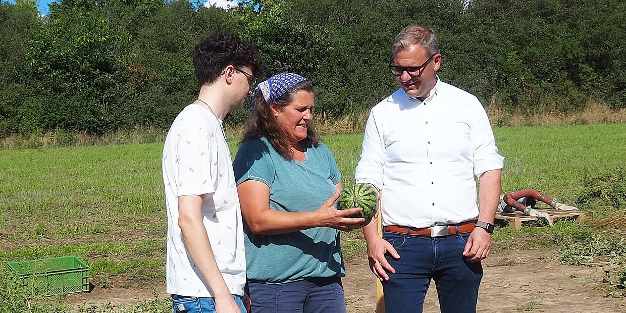 Exotische Frucht: Auf diesem Hof bei Bamberg wachsen Melonen