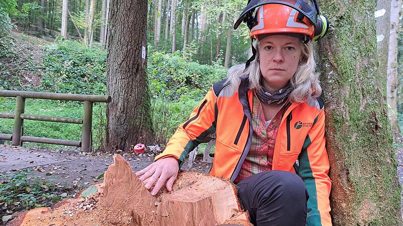Revierleiterin Johanna Fikar an einem Lindenstumpf: Innen ist der Stamm morsch und nicht stabil.