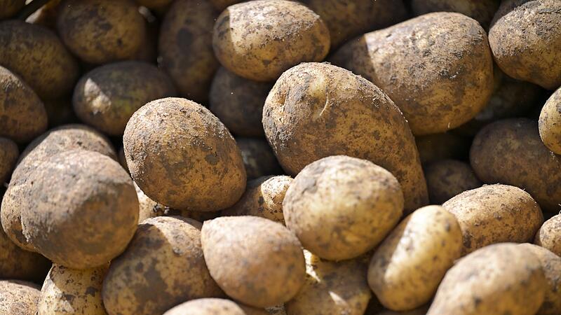 Kartoffel-Ernte Kartoffel-Ernte