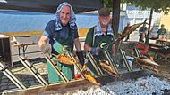 Hei&szlig;er Samstag beim Stadtfest in Bad Br&uuml;ckenau