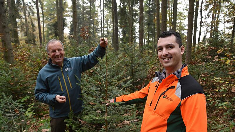 Sind der &Uuml;berzeugung, dass sich der Wald nat&uuml;rlich selbst &uuml;ppig und vielf&auml;ltig verj&uuml;ngt, wenn er nicht durch zu viele Rehe verbissen wird: der scheidende Revierleiter Berthold Schulthei&szlig; und sein Nachfolger Jonas G&uuml;rsching.