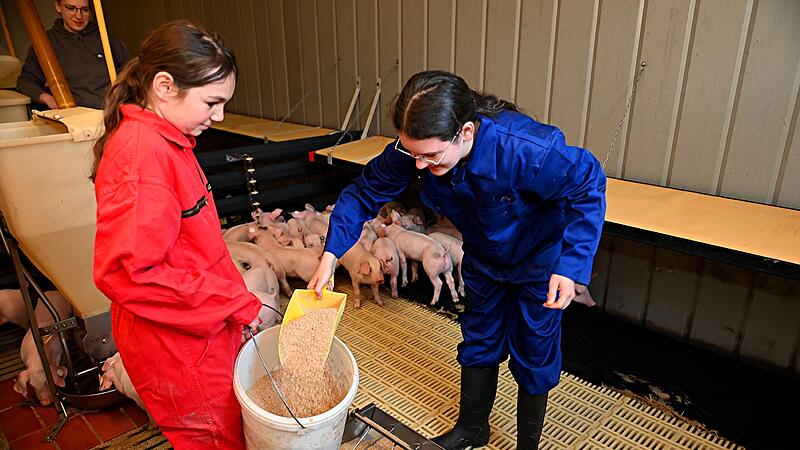 Impressionen vom Girls' Day 2025 auf dem Schweinehof Wei&szlig; im Kreis Bamberg