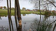 Deutlich sichtbare Fraßspuren am Baum und angestautes Wasser in Katzenbach. Im Hintergrund ist der Elektrozaun zu erkennen, der den Biber fernhalten soll.