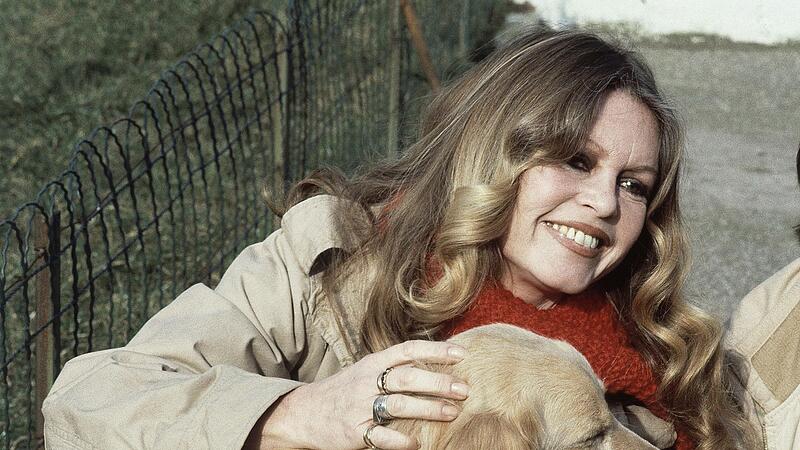 Brigitte Bardot mit Hund Brigitte Bardot mit Hund