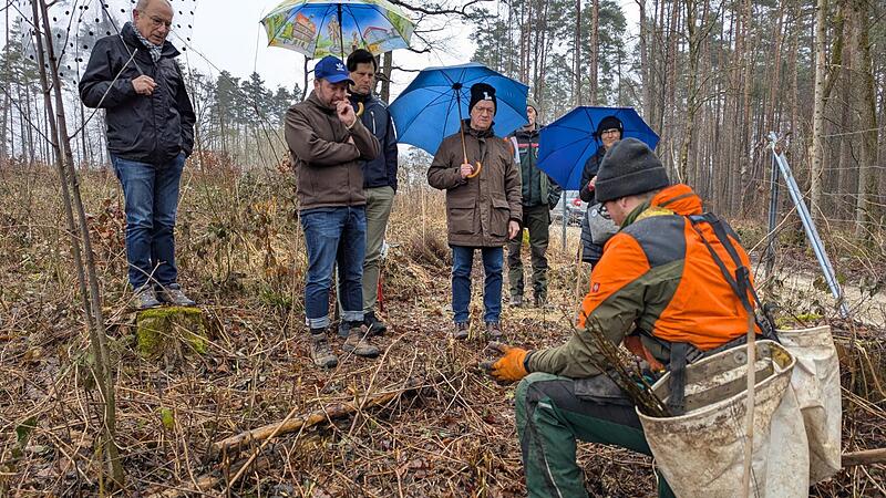Max Mantel erkl&auml;rt, wie man die B&auml;umchen fachm&auml;nnisch in den Boden bringt.
