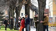 Albert Groh (Dritter von rechts) und seine Mitstreiter bei den Linden, die gefällt werden.